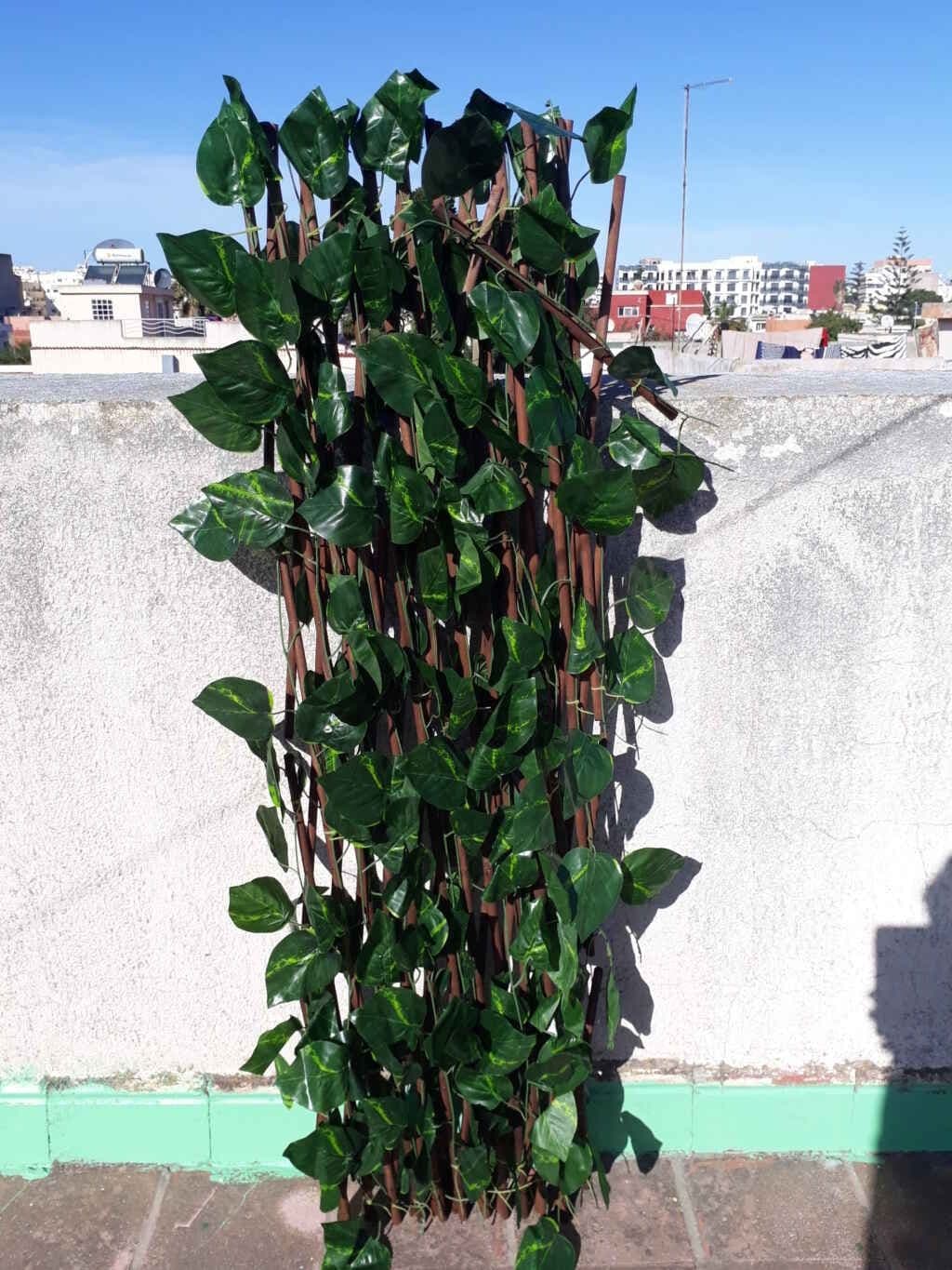 حمزة - أكادير